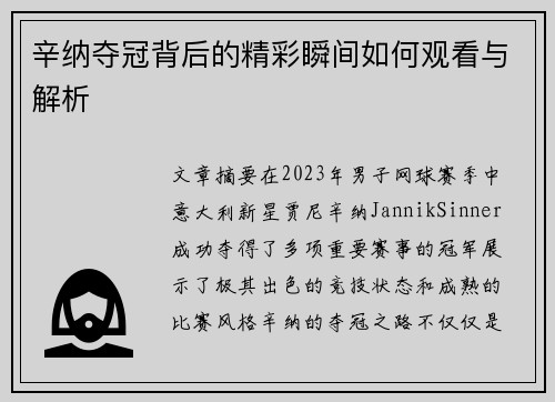 辛纳夺冠背后的精彩瞬间如何观看与解析 辛纳夺冠背后的精彩瞬间如何观看与解析